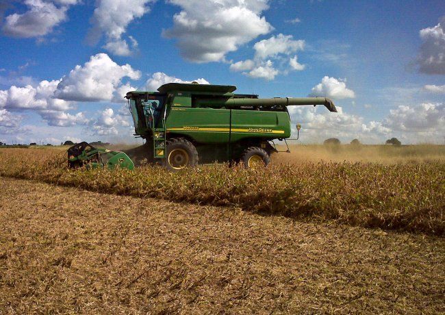 El hombre de campo en diciembre de 2019 vendiendo una tonelada de soja podía comprar U$S 206 billetes vivos, en mayo de 2020 U$S 133,4 billetes vivos y en septiembre U$S 150,80 billetes vivos..