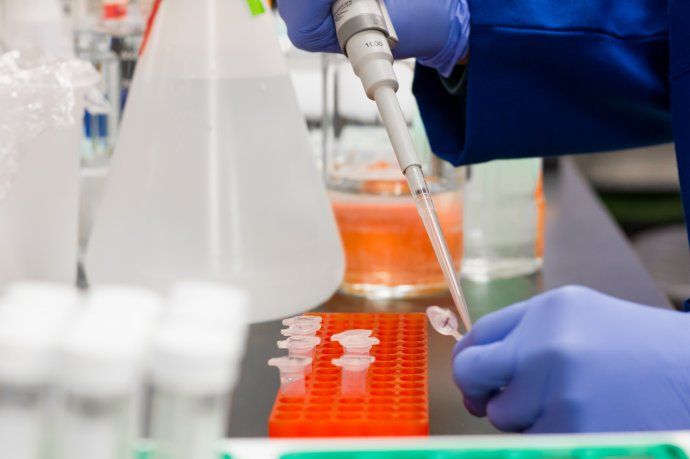 Estudio afirma que el coronavirus puede contagiarse por vía sexual