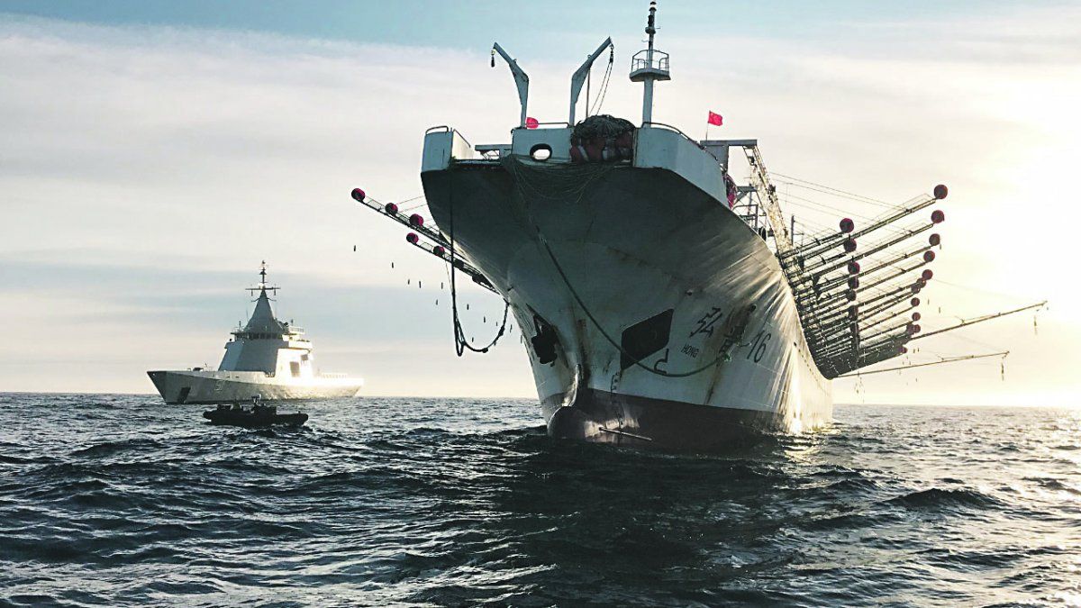 Multas irrisorias, otra manera de fomentar la pesca ilegal
