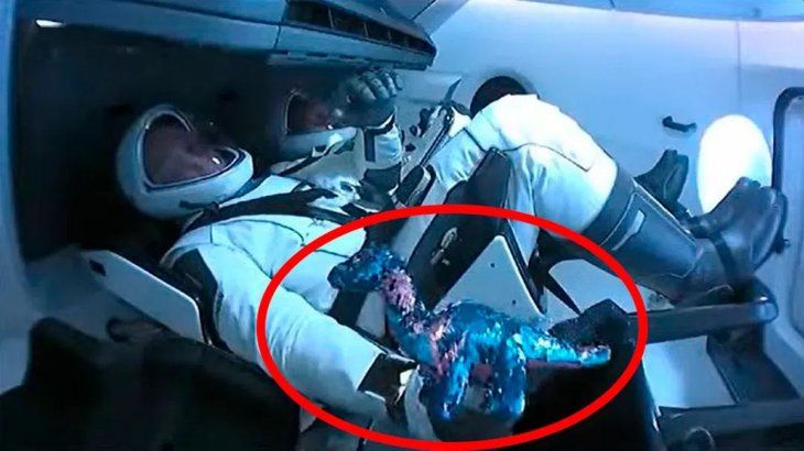 Bob Behnken y Doug Hurley no viajaron solos en el vuelo de la NASA a una estación espacial
