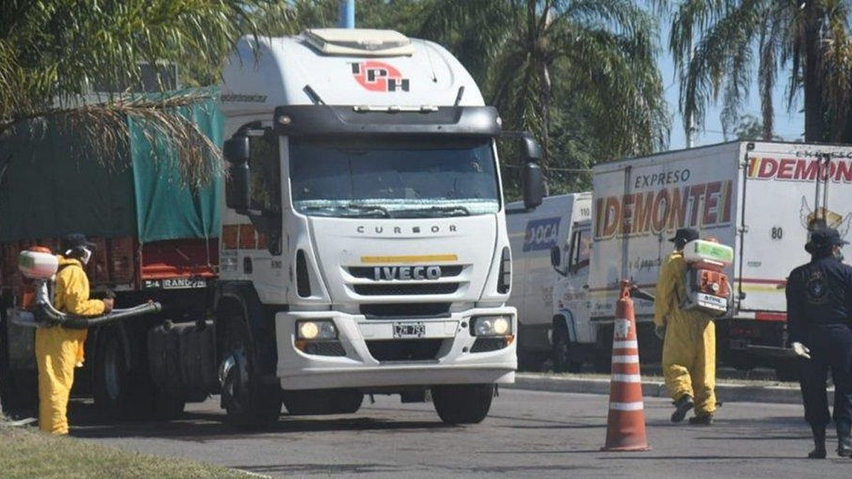 Provincias, con más controles a camiones para bloquear caballos de ...