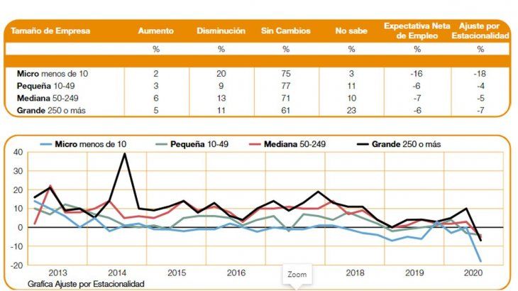 La Expectativa de Empleo es más baja en micro y medianas empresas.