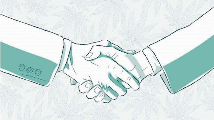 Ilustración por Ilona Szentivanyi