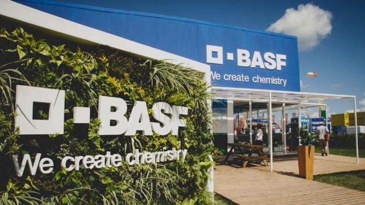 La firma alemana Basf dejará de producir a nivel local y comenzará a importar desde Brasil. 