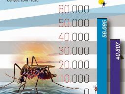 alarma en el pais: confirman 54.870 casos de dengue (es el mayor registro historico)