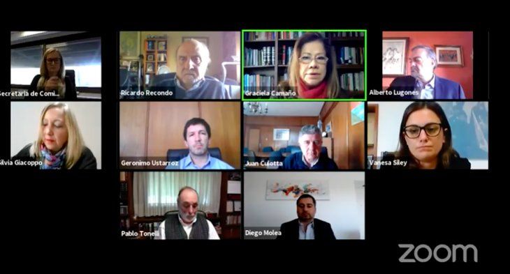 La Comisión de Selección de Jueces del Consejo de la Magistratura votó a favor del dictamen de Diego Molea.