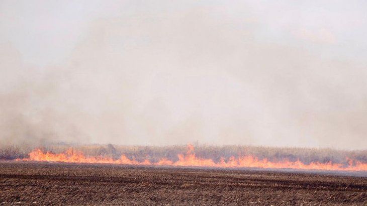 Los daños sobre las redes eléctricas por incendios se registraron en localidades del Gran Rosario