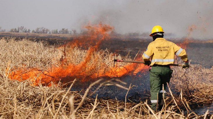 Siete detenidos por la Prefectura en la zona de incendios.