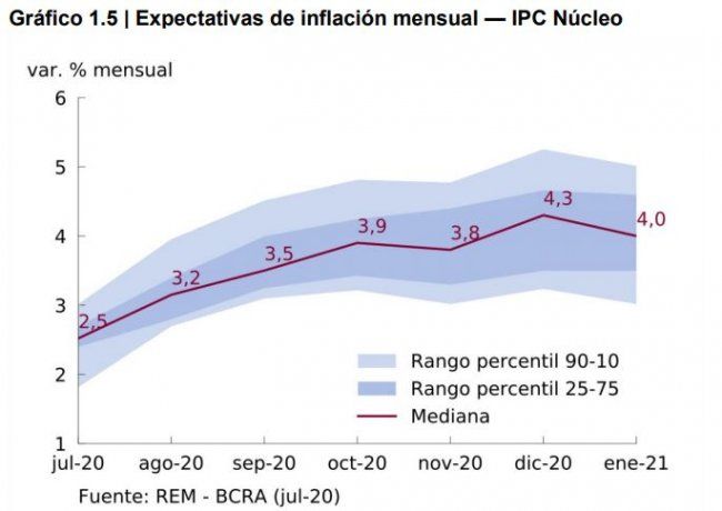 Fuente: REM-BCRA