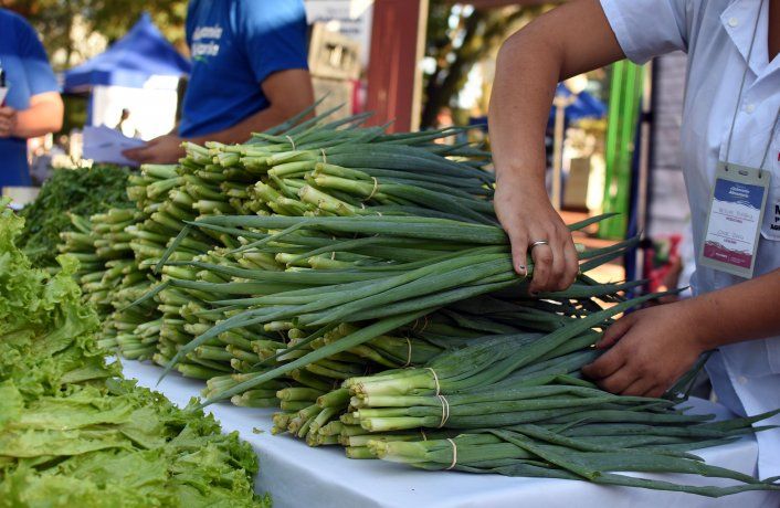 En promedio, los consumidores pagaron 4,87 veces más de lo que cobró el productor por los productos en la tranquera de sus campos, cuando en junio la diferencia fue de 4,59 veces.