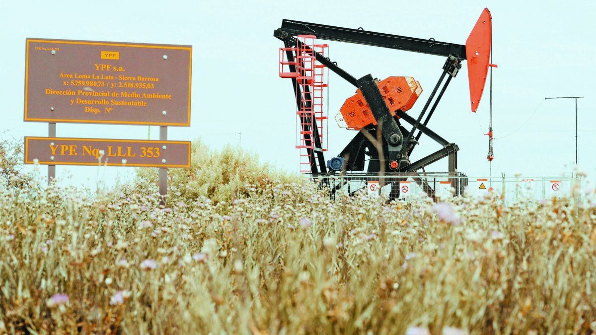 Vaca Muerta: pymes en crisis