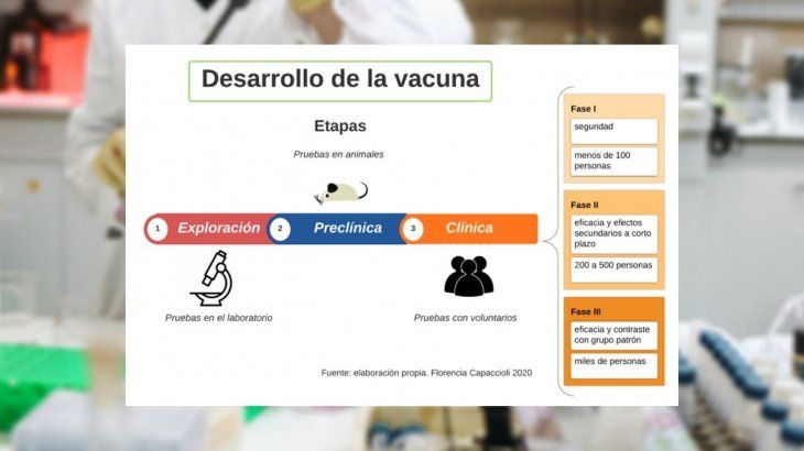 Proceso que se lleva a cabo para el desarrollo de la vacuna