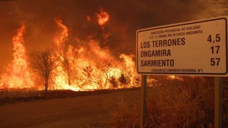 En  Córdoba, más de 14.000 hectáreas se vieron afectadas por los incendios.