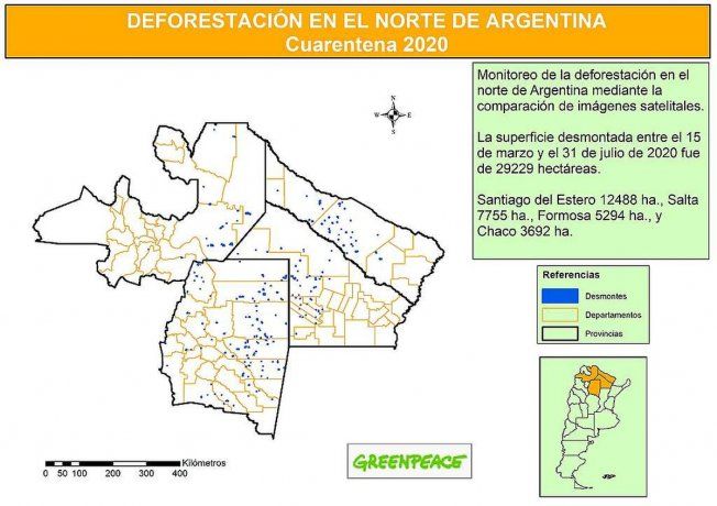 Informe de Greenpeace sobre la deforestación durante la cuarentena.