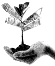 ámbito.com | dolar planta_opt.gif