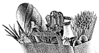 alim-varios 1_opt.gif