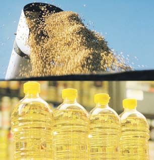 Argentina es uno de los principales exportadores de aceite de soja y puede ganar mucho mercado en girasol.