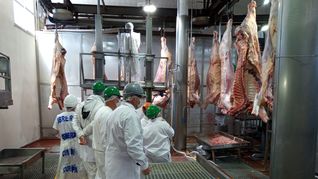 China demanda mayor carne uruguaya, mientras que los productores apuntan al mercado estadounidense. 