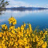 Bariloche ofrece miradores, circuitos y refugios de montaña para armar vacaciones con adrenalina y aire puro. Bariloche ofrece miradores, circuitos y refugios de montaña para armar vacaciones con adrenalina y aire puro.