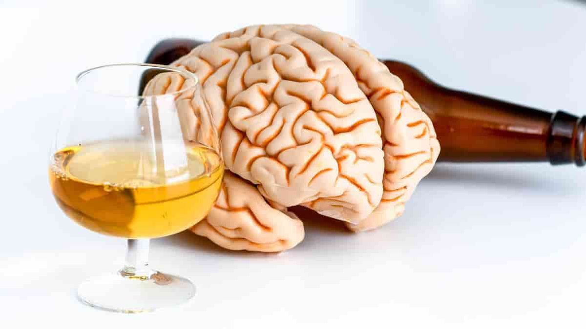 Cerebro: ¿Qué efectos le produce el alcohol?