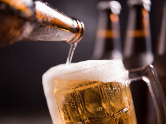 Cerveza. Investigaciones recientes apuntan a entender de qué manera el ambiente regula la calidad de los granos, estimada a través del extracto de malta, que es el indicador que más usa la industria para medir calidad.