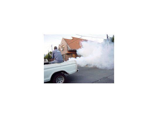 Las tareas de fumigación se profundizaron ayer en varias zonas de la provincia de Buenos Aires, como Quilmes, donde se detectaron dos casos.