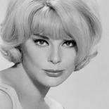 Elke Sommer compartió pantalla con Paul Newman y Peter Sellers, ganó un Globo de Oro en 1964 y desarrolló una carrera atravesada también por la música y la pintura.