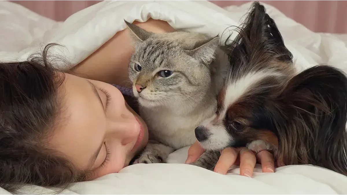 Do you sleep with your pets? These are the hidden risks you should know according to veterinarians
