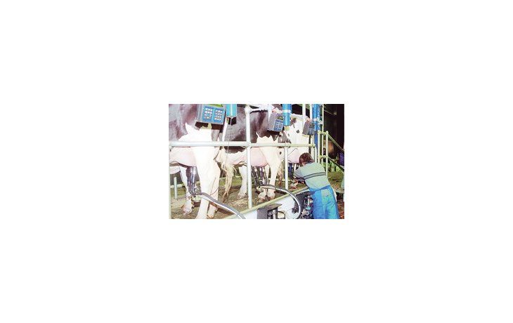 En Santa Fe, siete empresas realizarán inversiones por más de $ 800 M, lo que permitirá un aumento de la capacidad por 3,3 M de litros de leche.
