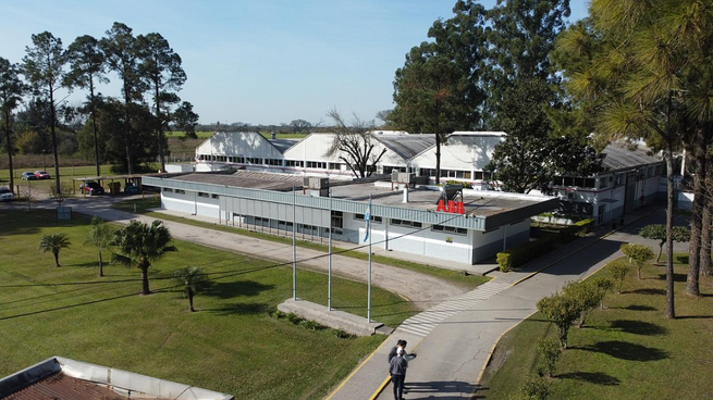 La planta de Bella Vista, con 4.500 metros cuadrados distribuidos en tres naves y un equipo de más de 140 trabajadores.