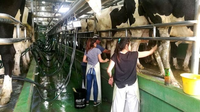 La crisis de la industria láctea golpea con fuerza a Entre Ríos.