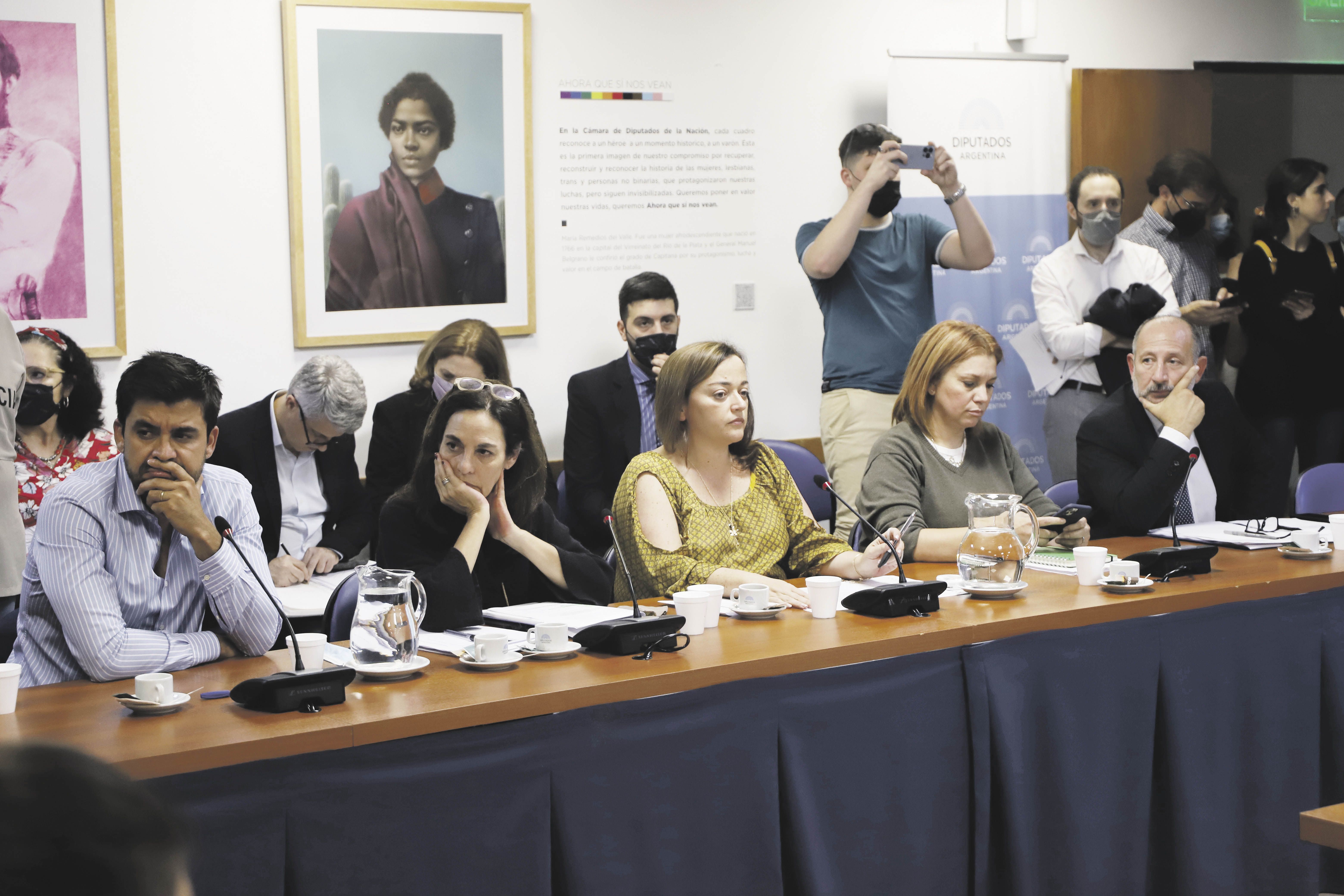 PAG13-Comision Ley alq_opt.jpeg