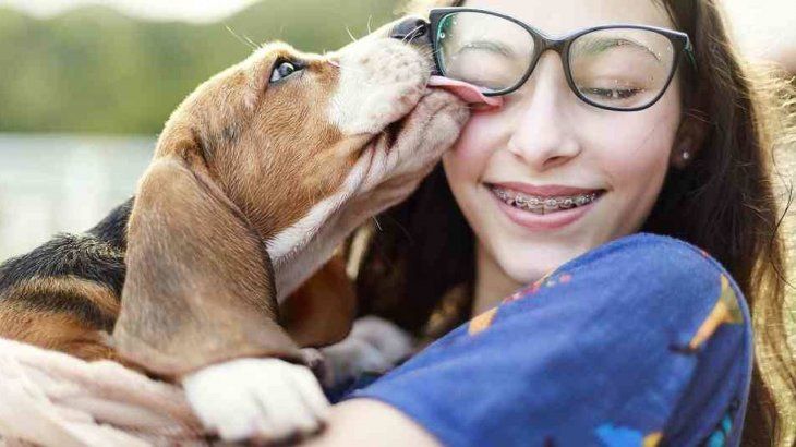 Los especialistas afirman que hay 7 formas de saber si tu mascota te ama.&nbsp;