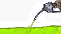 Las resoluciones de los biocombustibles aclaran que las medidas se adoptan en el contexto de emergencia económica y energética.