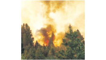 Un feroz incendio se desató ayer en la ciudad de Bariloche, lo que obligó al corte de la Ruta 40.