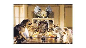 ámbito.com | Las destrezas de los perros son lo único que sobrevive en este oscuro film para chicos, sin humor y por momentos angustiante.