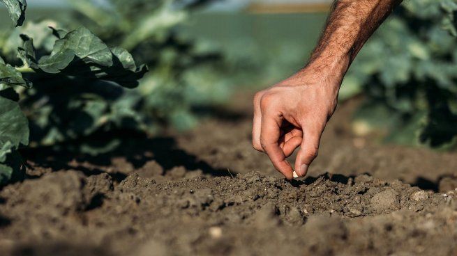 En plena campaña gruesa 2025/2026, el campo enfrenta un desafío crítico