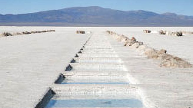 Argentina & LATAM Lithium Summit 2022, es una oportunidad ideal para reunirse con representantes del gobierno argentino, inversionistas y empresas nacionales e internacionales que buscan invertir no solo en el país sino en la región.