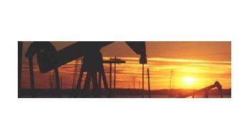Petróleo perdió 0,7% a u$s 45,55