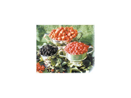 Los frutos de la Comarca Andina marcan el crecimiento de la región y renuevan objetivos para su fuerte crecimiento.