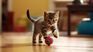 This behavior of cats demonstrates the strong bond with their owners. This behavior of cats demonstrates the strong bond with their owners.