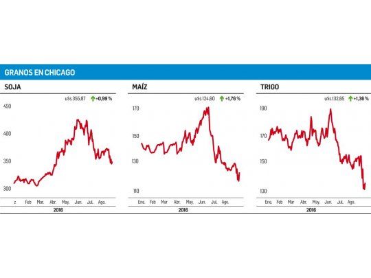 Leve recuperación de los granos en Chicago
