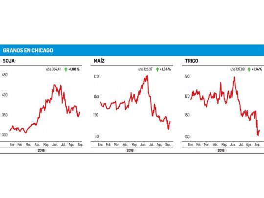 Chicago: recuperación para soja, maíz y trigo