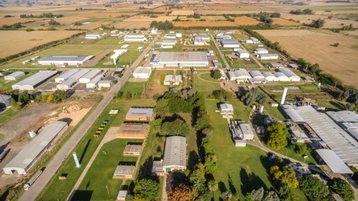 ArriBA Parques, the plan that seeks to promote industrial clusters