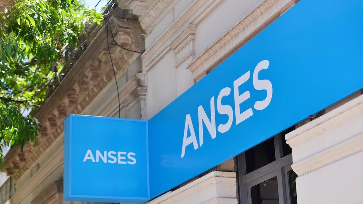 ¿Cuánto cobro de SUAF de ANSES en noviembre de 2026? Consultá las tablas oficiales según tu salario