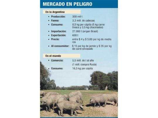 Temor paraliza comercio de cerdo