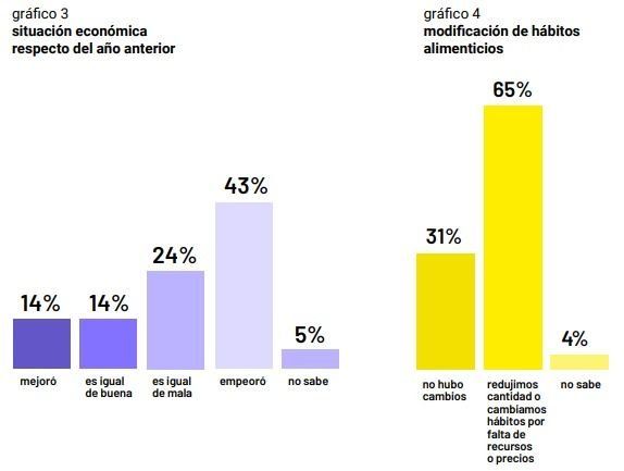 Gráfico extraído del relevamiento.