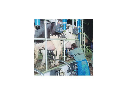 Los productores ganaderos europeos podrán unirse para negociar un mejor precio por la leche que venden a las industrias.