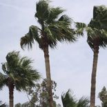 Un día de mucho viento este martes en México. Un día de mucho viento este martes en México.
