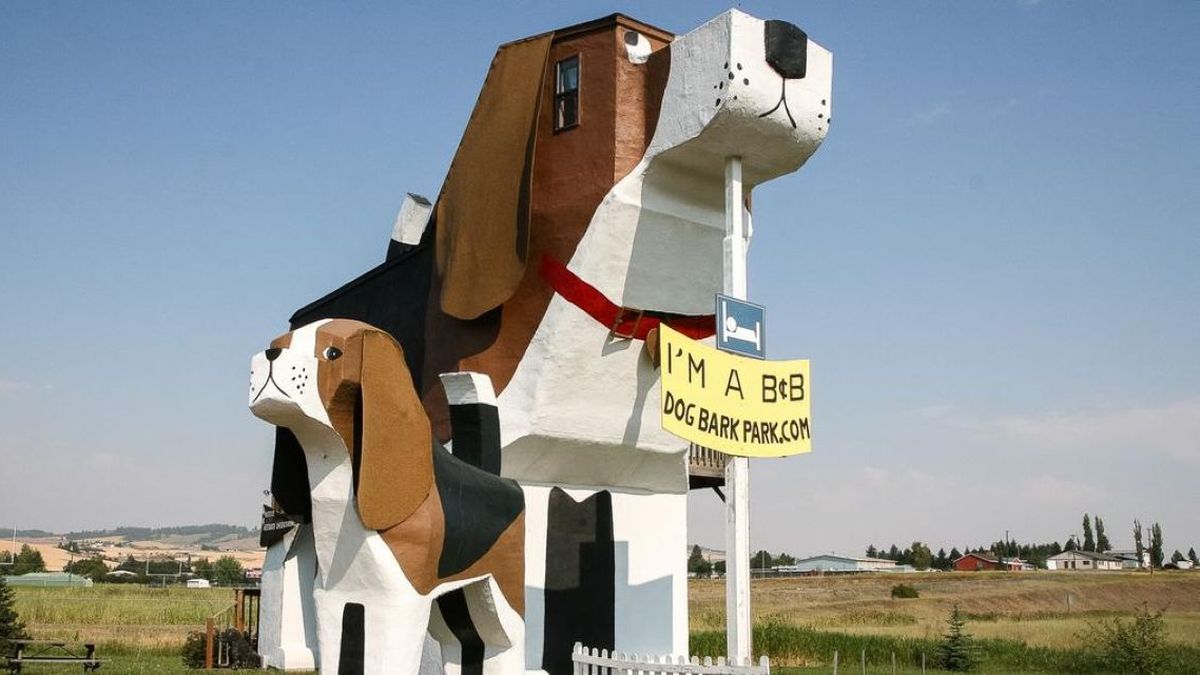 Peculiar lodging: the US hotel that has a dog shape and attracts the attention of all pet lovers